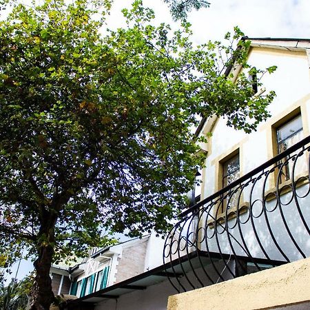 Hostal Loro Verde كويتو المظهر الخارجي الصورة