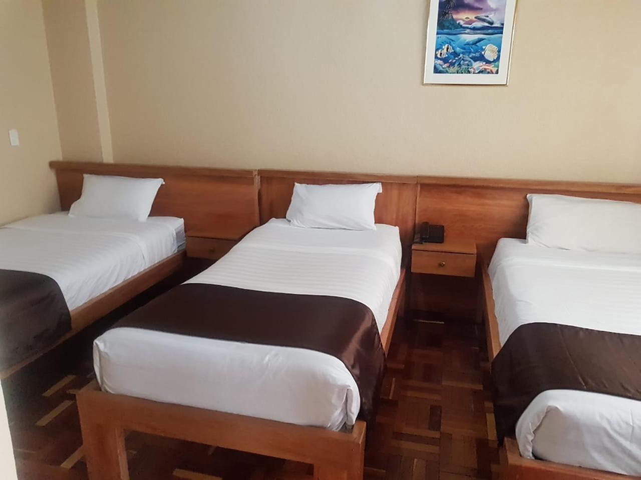 Hostal Loro Verde كويتو المظهر الخارجي الصورة