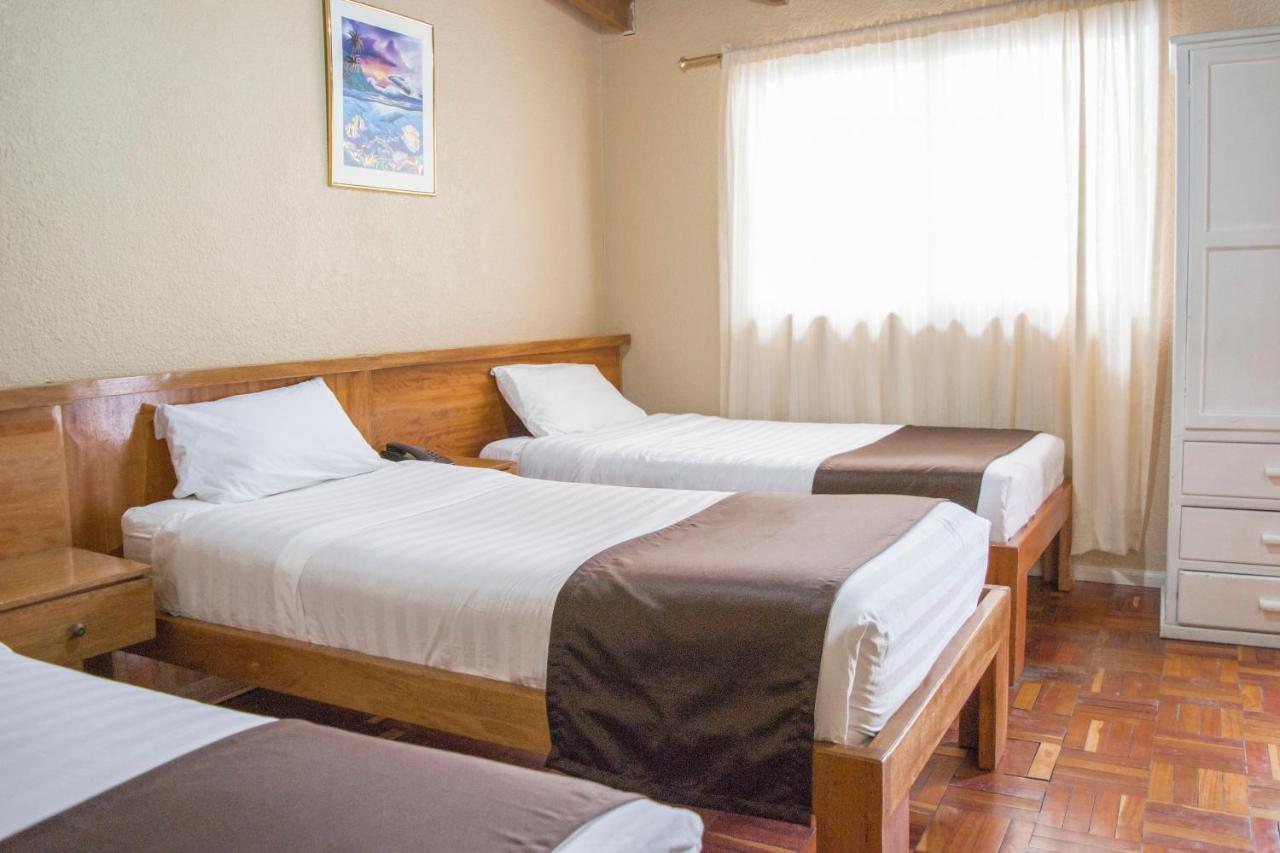 Hostal Loro Verde كويتو المظهر الخارجي الصورة