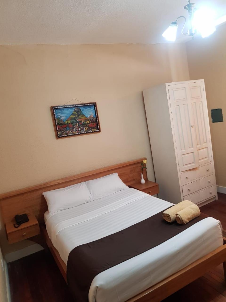 Hostal Loro Verde كويتو المظهر الخارجي الصورة