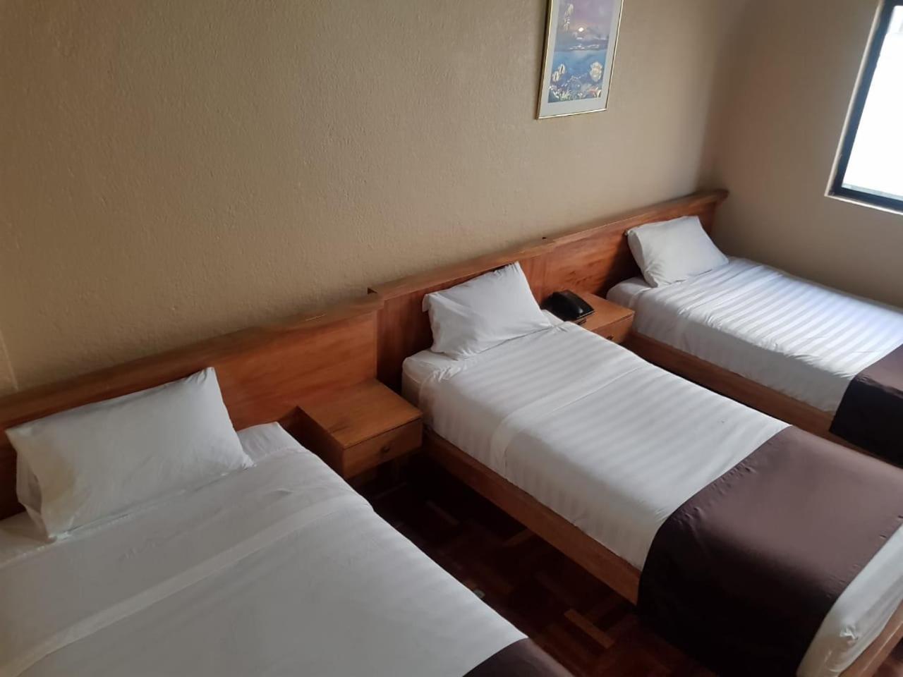 Hostal Loro Verde كويتو المظهر الخارجي الصورة