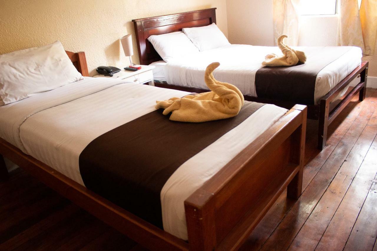 Hostal Loro Verde كويتو المظهر الخارجي الصورة